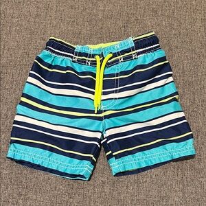 Carter's Blue and Green Striped Kids Swim Trunks